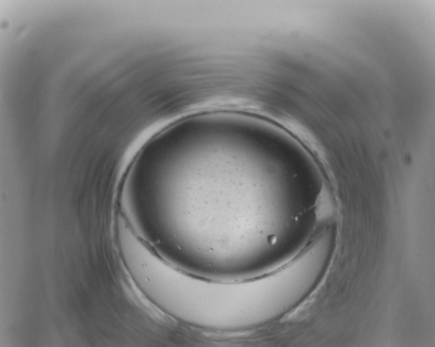 X0000061761296200512091651