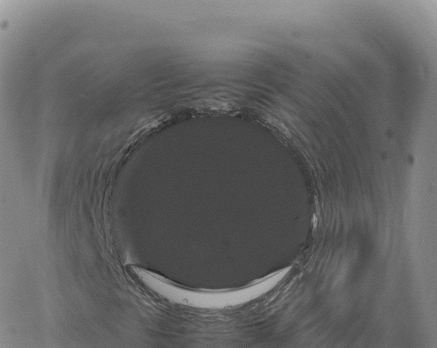 X0000061761297200512091651