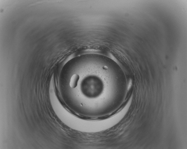 X0000061761298200512091651