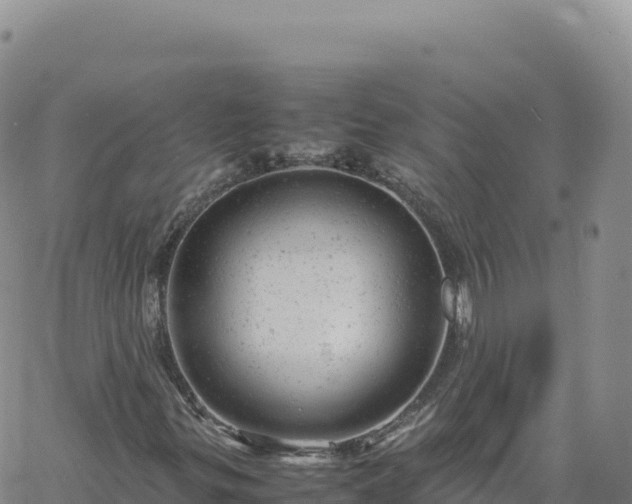 X0000061761299200512091651