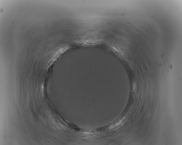 X0000061761300200512091651