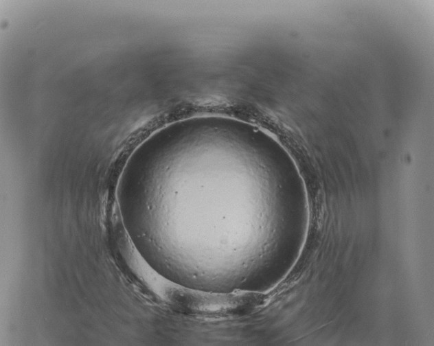 X0000061761301200512091651