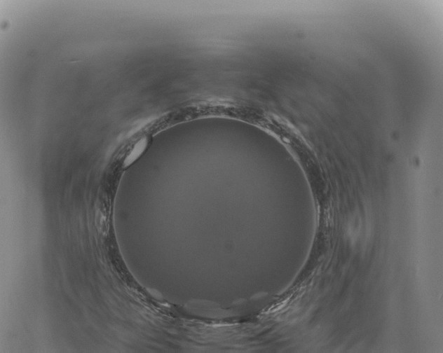 X0000061761303200512091651