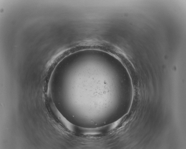 X0000061761304200512091651