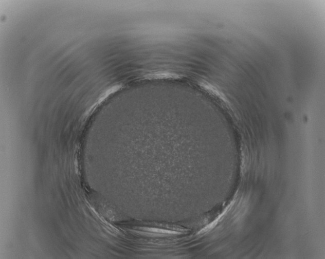 X0000061761305200512091651