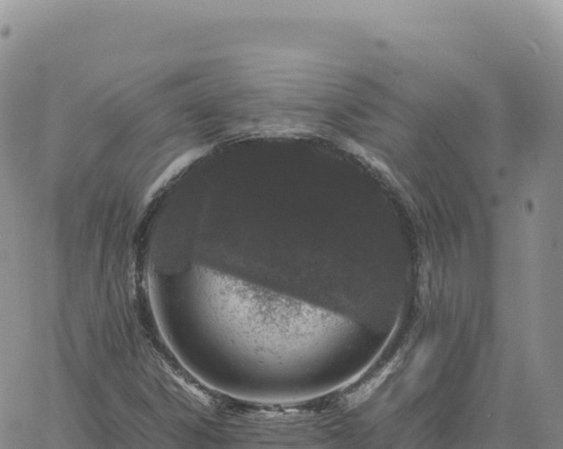 X0000061761306200512091651