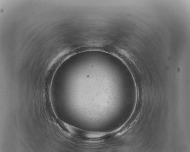 X0000061761307200512091651