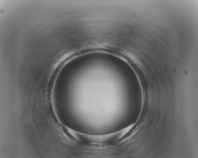 X0000061761308200512091651