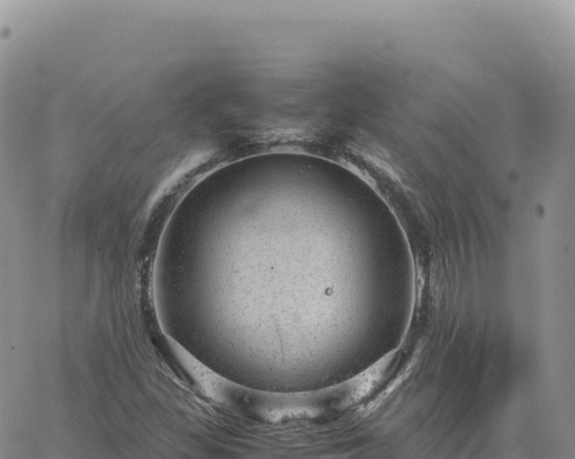 X0000061761309200512091651