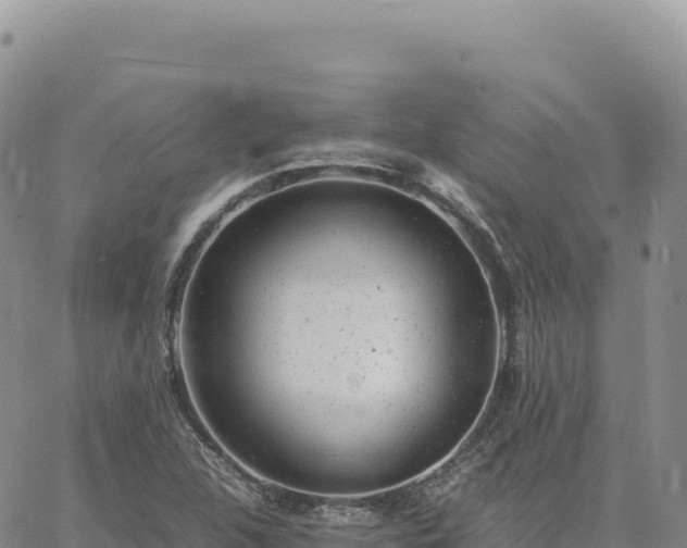 X0000061761312200512091651