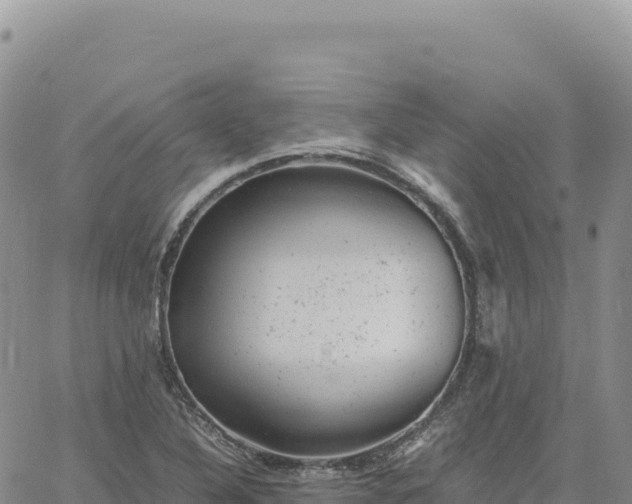 X0000061761316200512091651