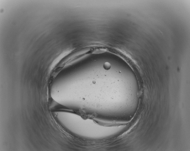 X0000061761317200512091651