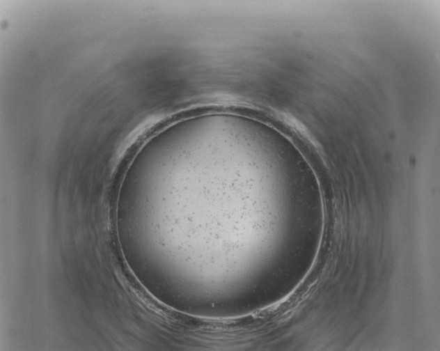 X0000061761318200512091651