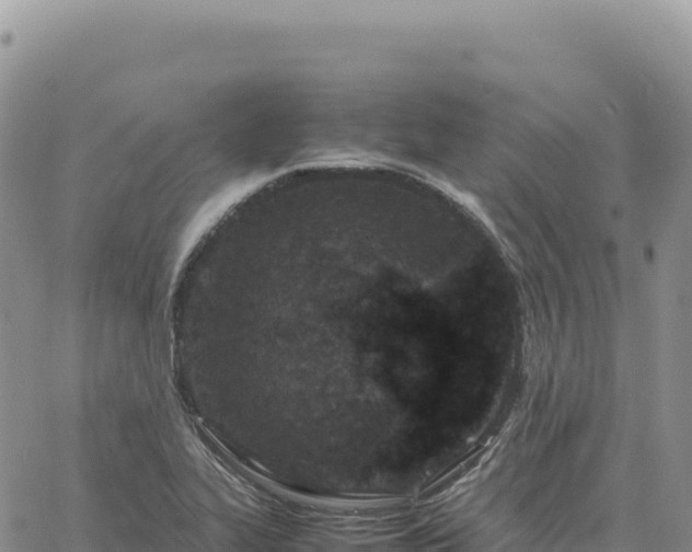 X0000061761319200512091651