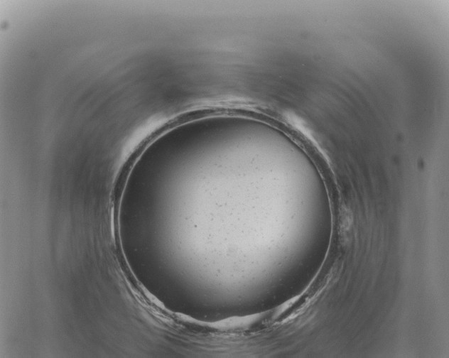 X0000061761320200512091651