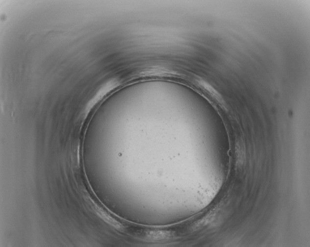 X0000061761322200512091651