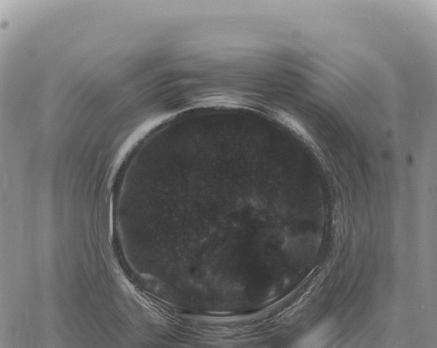 X0000061761323200512091651