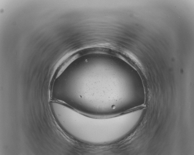 X0000061761324200512091651