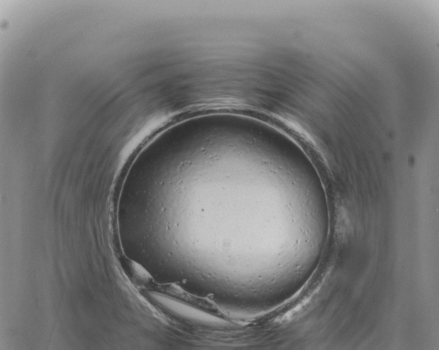 X0000061761325200512091651