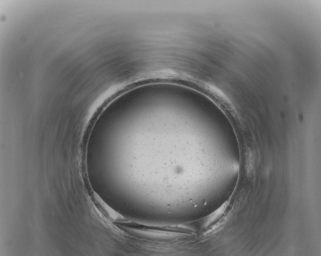 X0000061761326200512091651