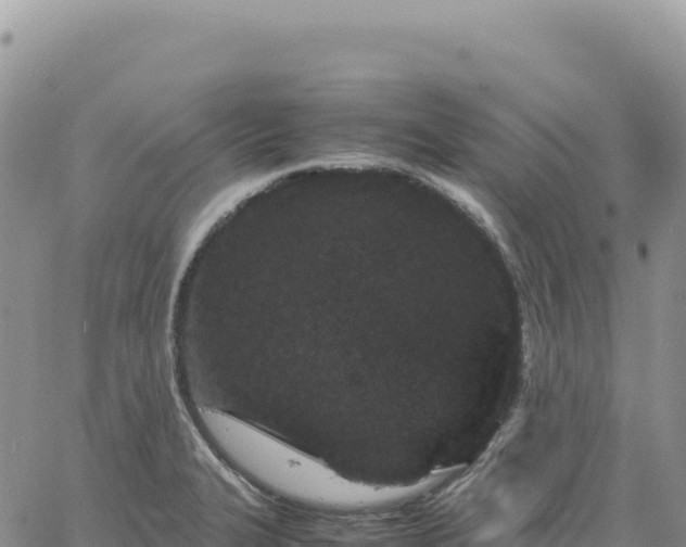 X0000061761327200512091651