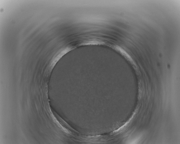 X0000061761329200512091651