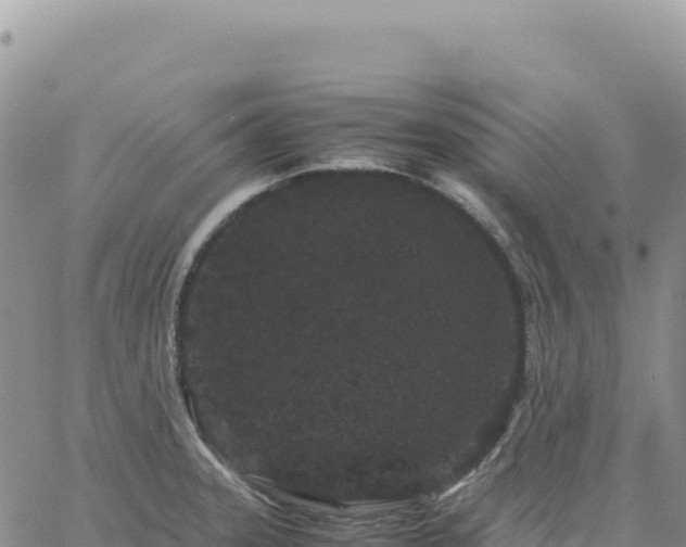 X0000061761331200512091651