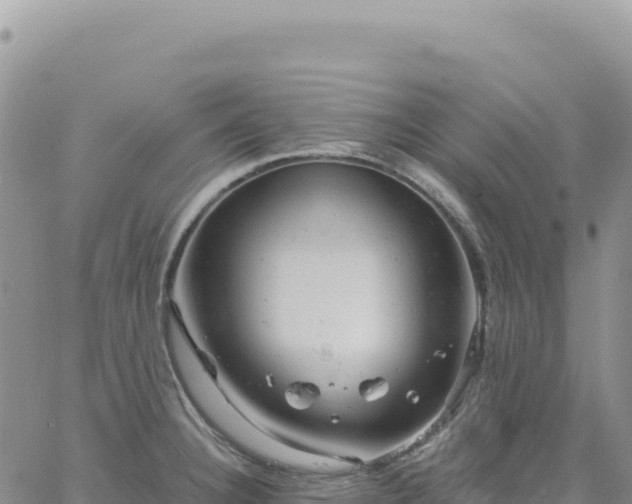 X0000061761332200512091651