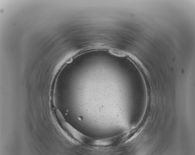 X0000061761333200512091651