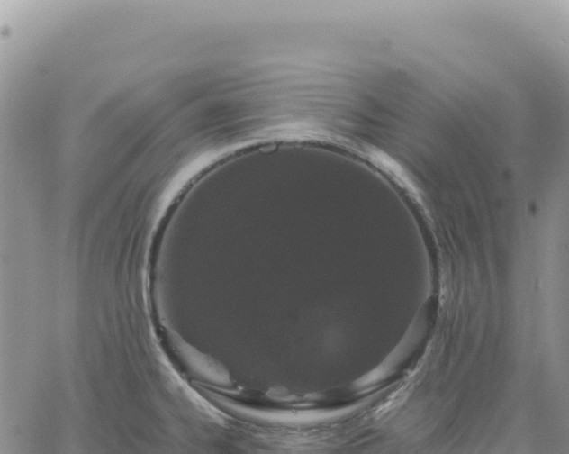 X0000061761334200512091651