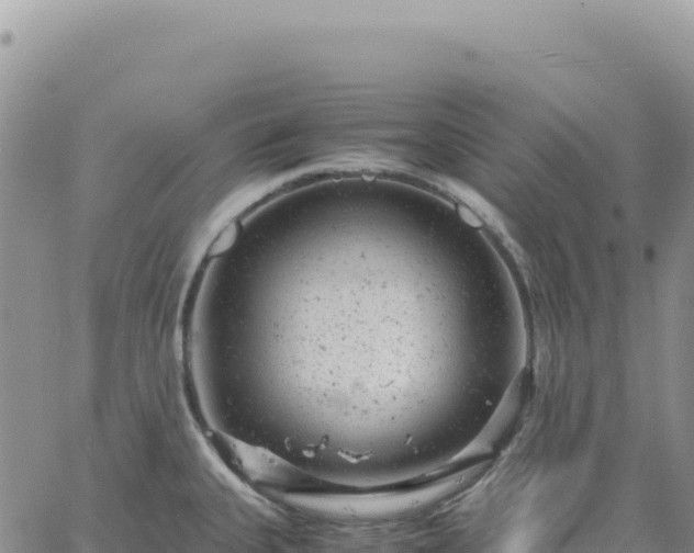 X0000061761335200512091651