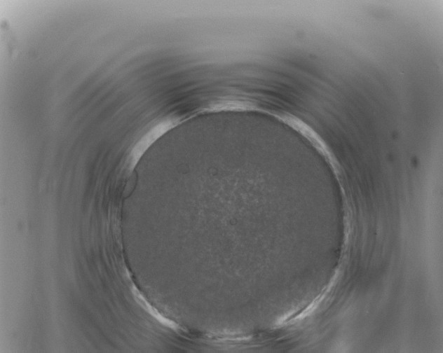 X0000061761337200512091651