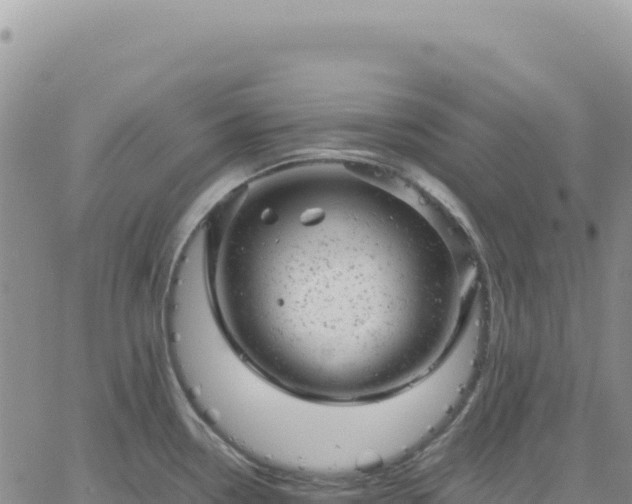 X0000061761338200512091651