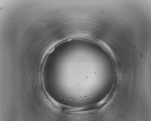 X0000061761340200512091651