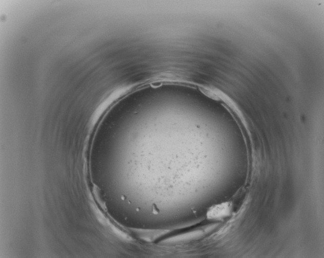 X0000061761341200512091651