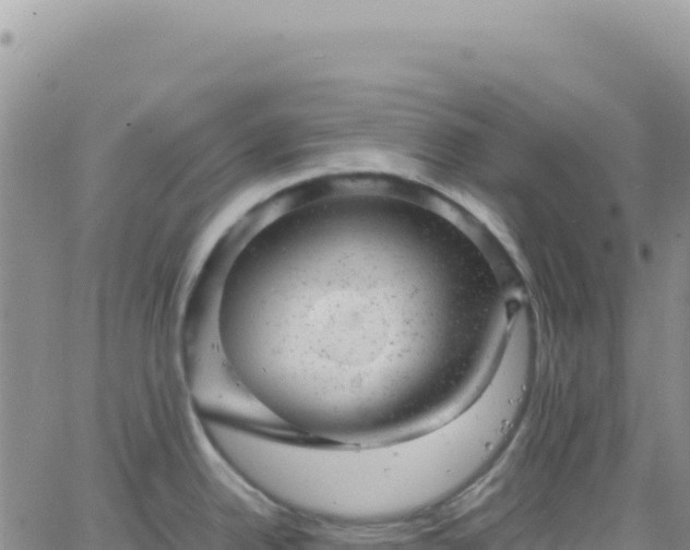 X0000061761342200512091651