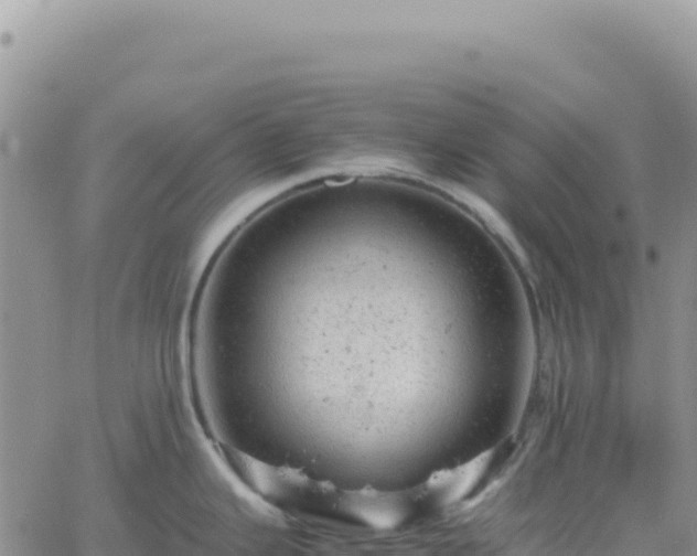 X0000061761343200512091651