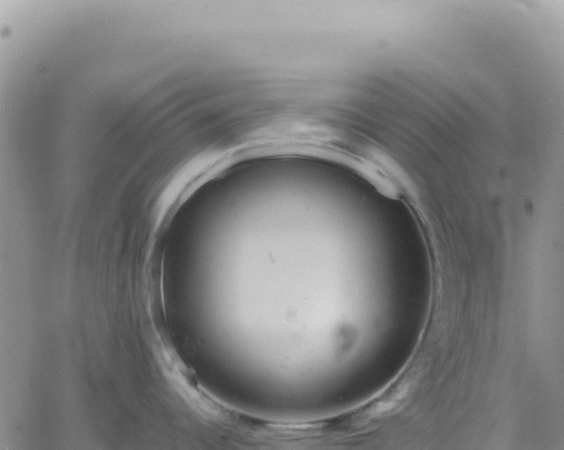 X0000061761344200512091651