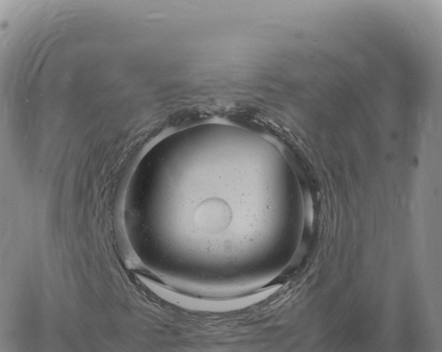 X0000061761345200512091651