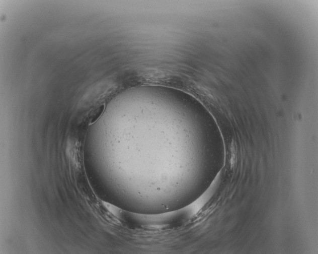 X0000061761346200512091651