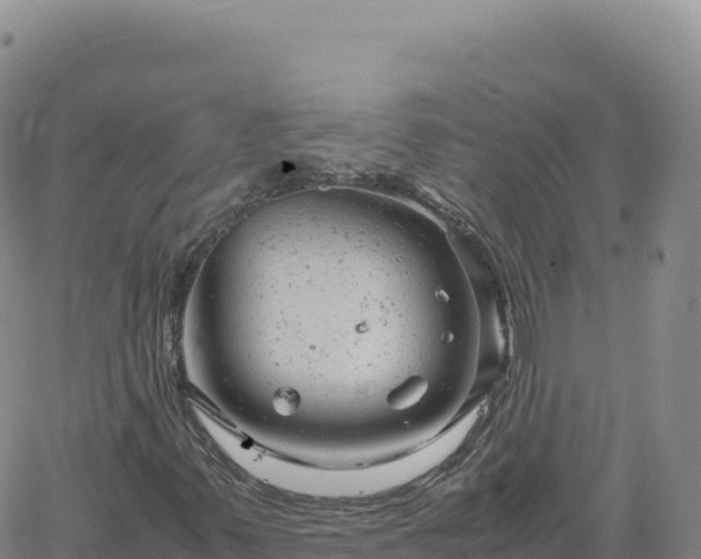 X0000061761347200512091651