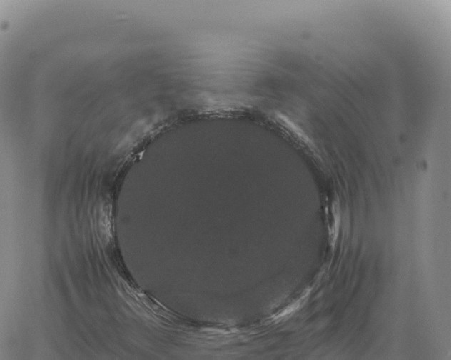 X0000061761348200512091651