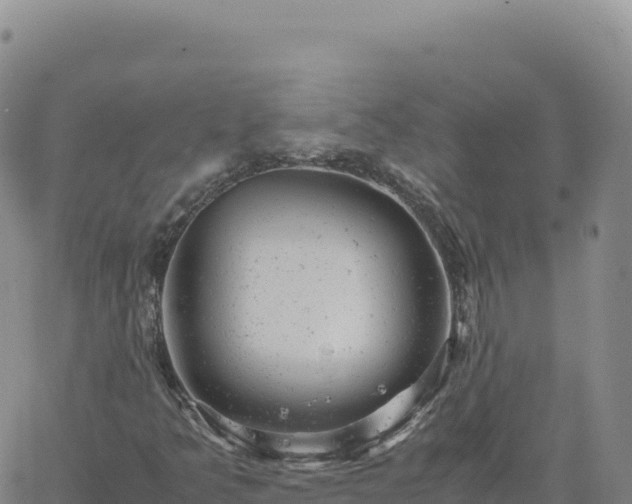 X0000061761349200512091651