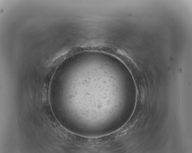 X0000061761350200512091650