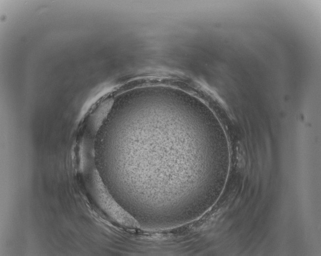 X0000061761352200512091650