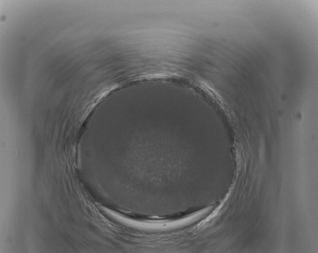 X0000061761353200512091650