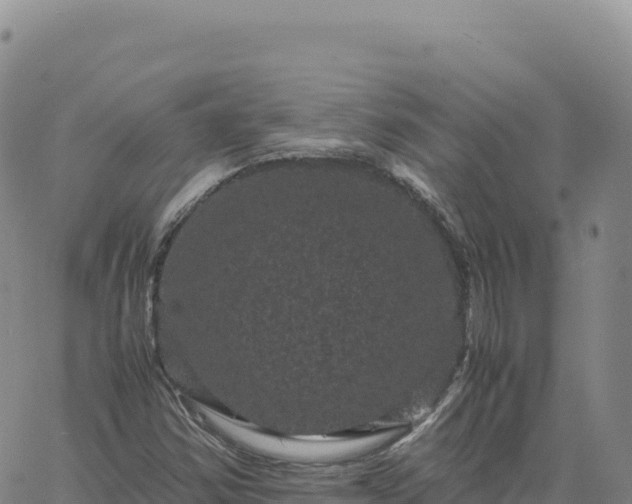 X0000061761354200512091650