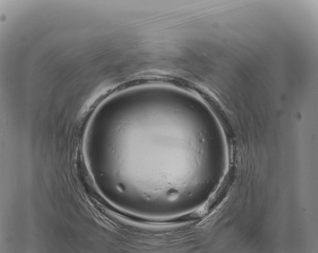 X0000061761355200512091650