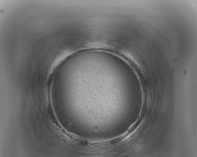 X0000061761358200512091650