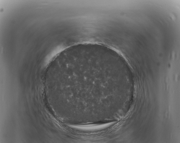 X0000061761359200512091650